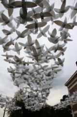 Et aussi 48 * 5184 x 3456 * (7.27MB)